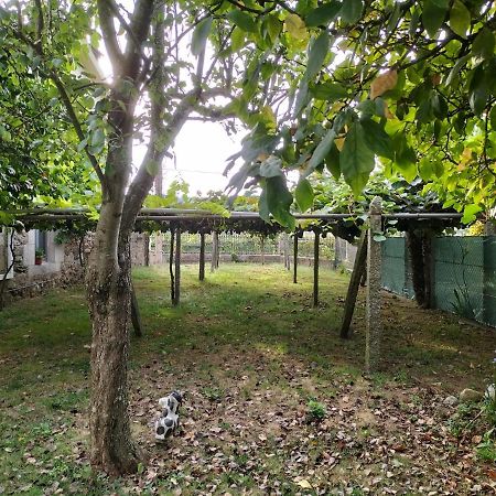 Casa Rural A Telleira A Estrada Eksteriør billede